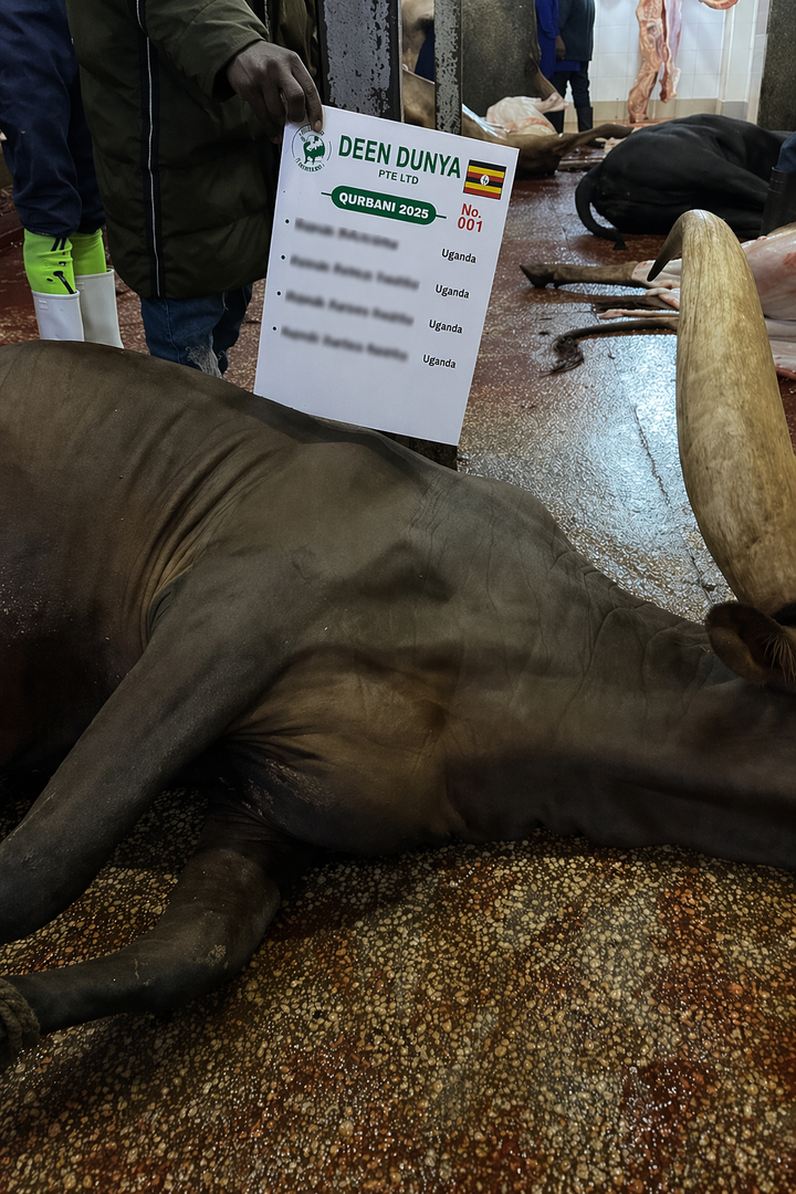 Korban & Aqiqah Uganda